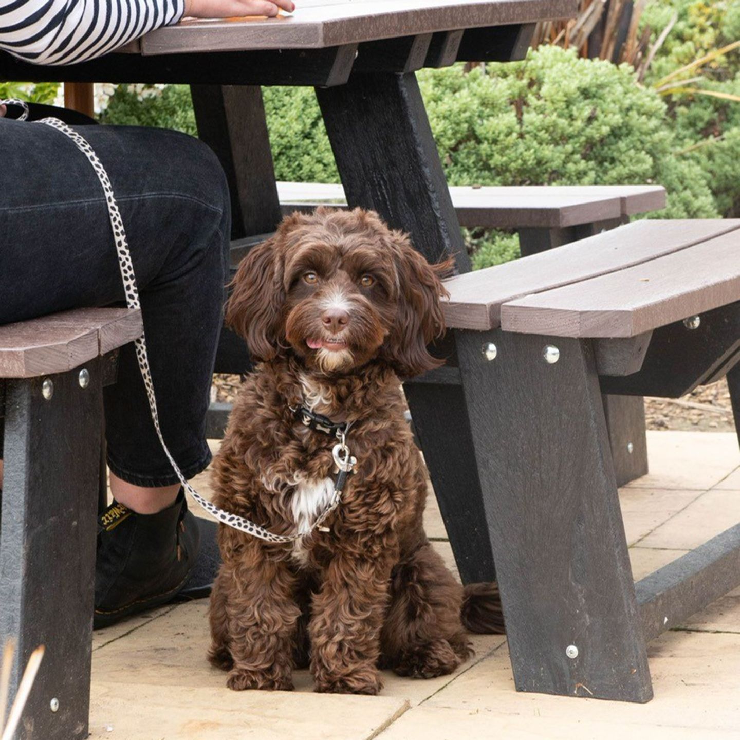 Your local dog friendly pub in Brough